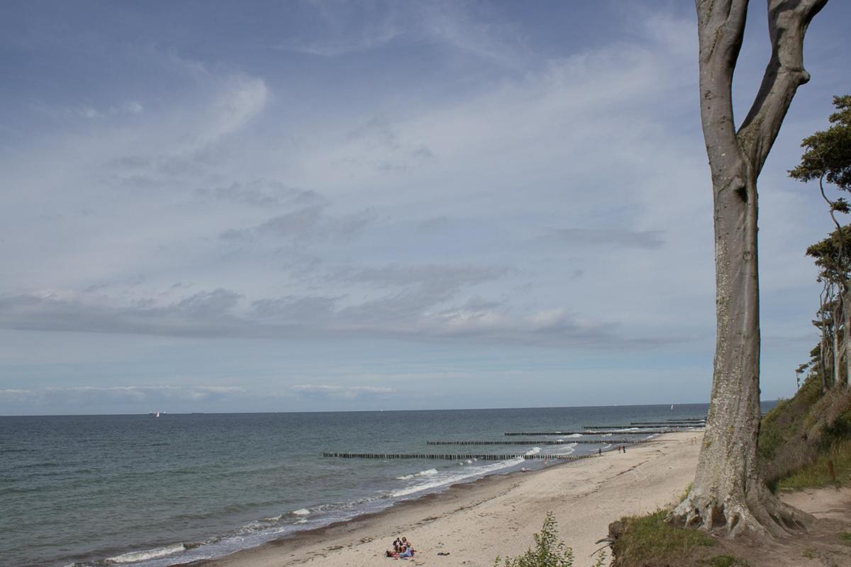 Meerblick Ostseebad Nienhagen Dış mekan fotoğraf